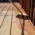 How To Remove Green Algae From Wooden Deck