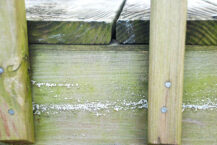 How to Prevent Mold on Decks